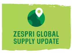 12-Month ZGS Supply Strategy Consultation Underway