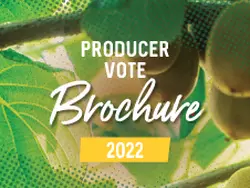 Producer Vote Brochure