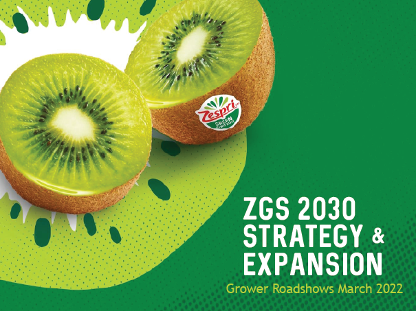 ZGS 2030